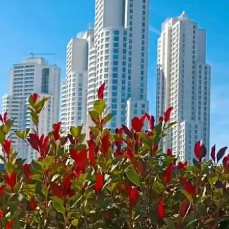 D & B Luxury 26th Floor Üsküp