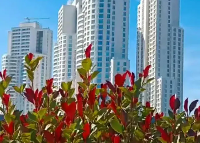 D & B Luxury 26th Floor Skopje